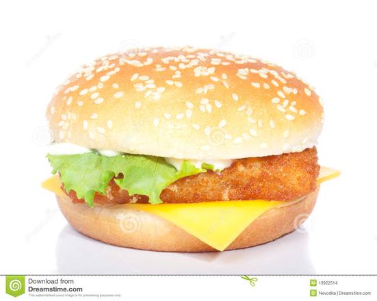 Fish Fried Burger